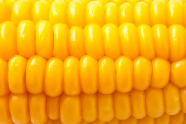 Similar image 5766650