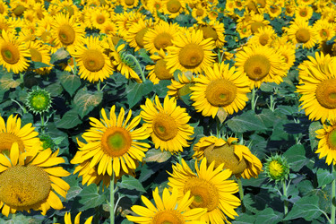 Similar image 5766654