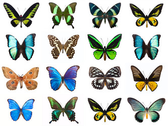 Similar image 5766727