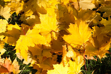 Similar image 5766813