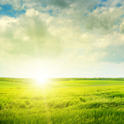 Similar image 5766861