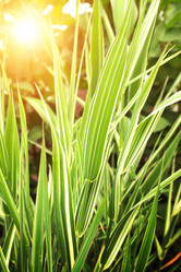 Similar image 5767040