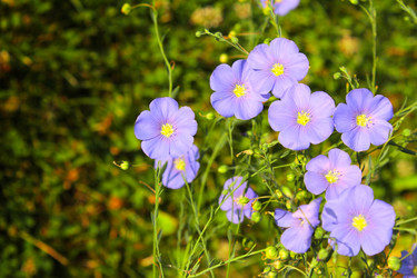 Similar image 5767041