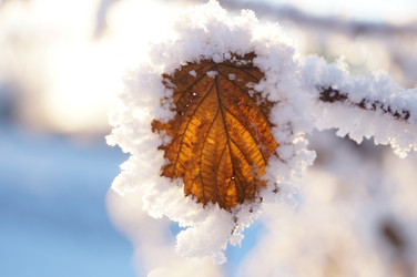 Similar image 5767045