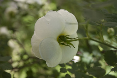 Similar image 5767139