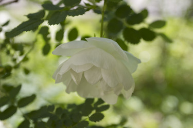 Similar image 5767143