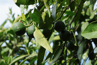 Similar image 5767162