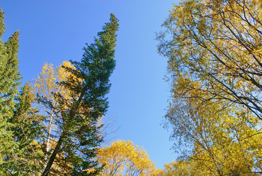 Similar image 5767183