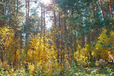 Similar image 5767224