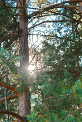 Similar image 5767227