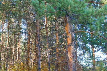 Similar image 5767228