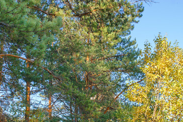 Similar image 5767229