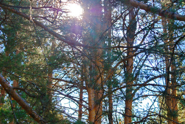 Similar image 5767231