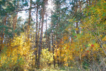 Similar image 5767232