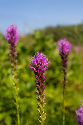 Similar image 5767234