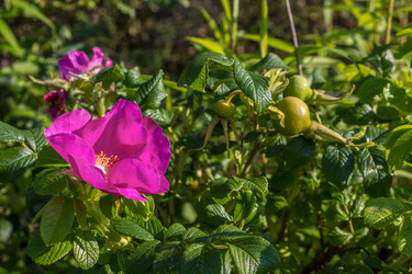 Similar image 5767237