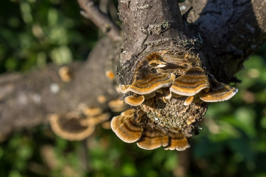 Similar image 5767238