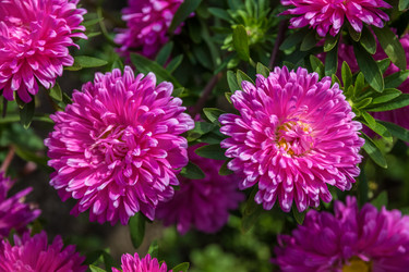 Similar image 5767239