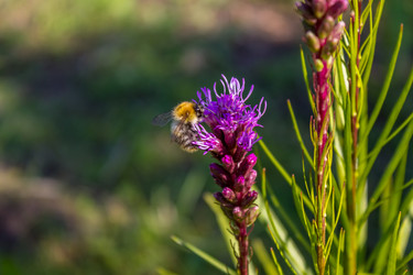 Similar image 5767240