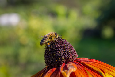 Similar image 5767241