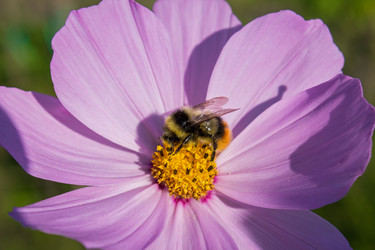 Similar image 5767243