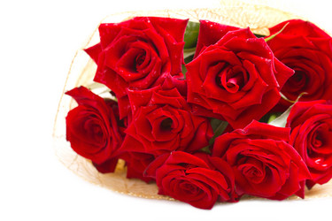 Similar image 5767261