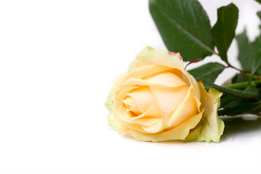 Similar image 5767271