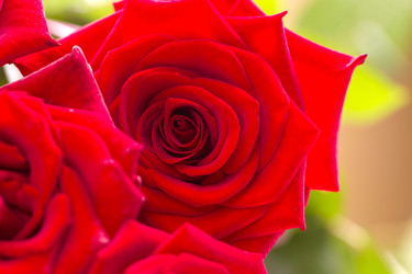 Similar image 5767273