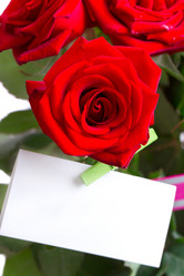 Similar image 5767274