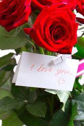 Similar image 5767275