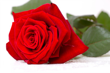 Similar image 5767276