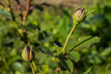 Similar image 5767279