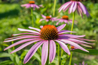 Similar image 5767281