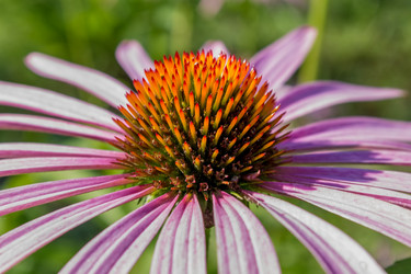 Similar image 5767282