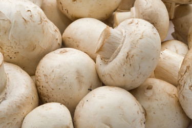 Similar image 5767589