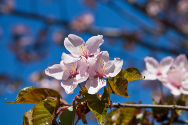 Similar image 5767602