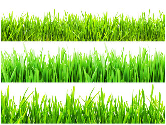 Similar image 5767618