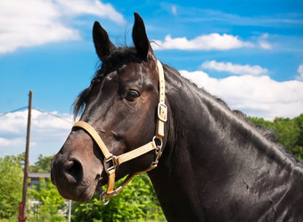 Similar image 5767634