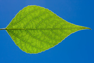 Similar image 5767651