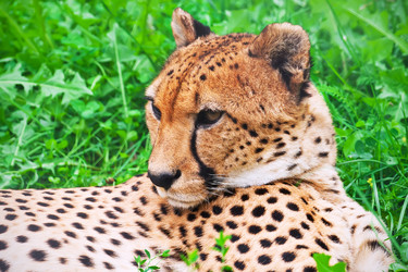 Similar image 5767655