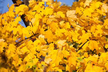 Similar image 5767669