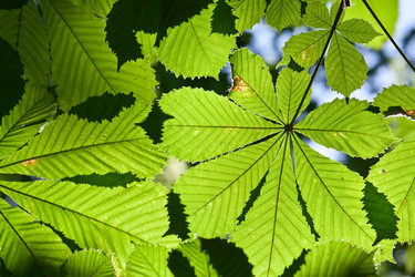 Similar image 5767691