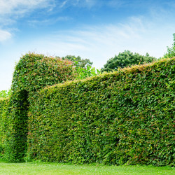 Similar image 5767698