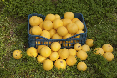 Similar image 5767892