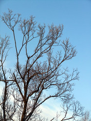 Similar image 5767893