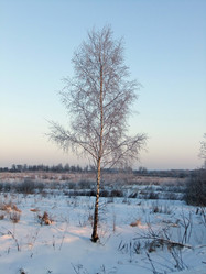 Similar image 5767895