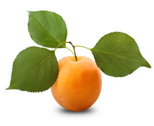 Similar image 5767923