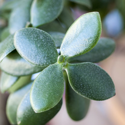 Similar image 5767942