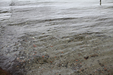 Similar image 5768200