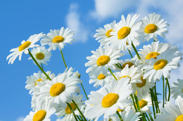 Similar image 5768231